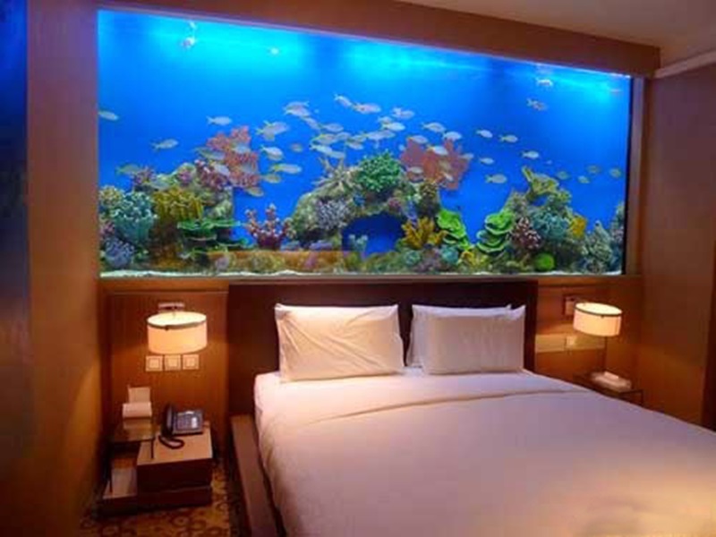 có nên đặt bể cá trong phòng ngủ theo phong thủy