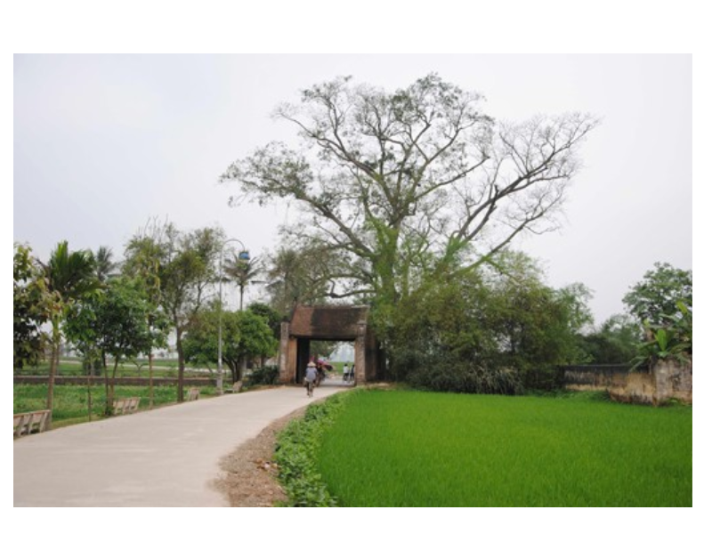 Cổng làng cổ Đường Lâm (Hà Nội) vẫn giữ nguyên vẹn được tích xa xưa