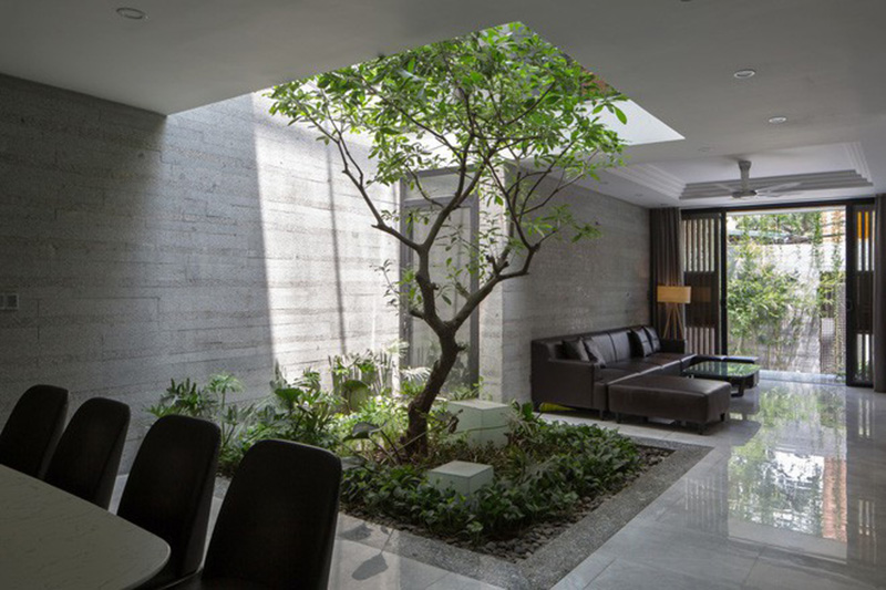 mẫu thiết kế nhà có cây trong nhà