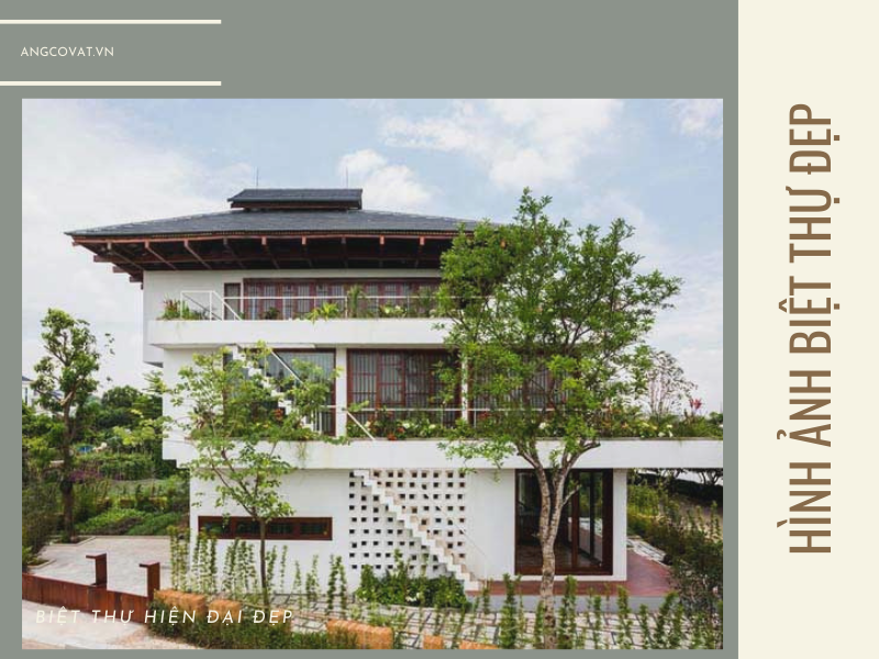 Mẫu 6: Thiết kế biệt thự này mang kiểu dáng của kiến trúc hiện đại Nhật – Việt 