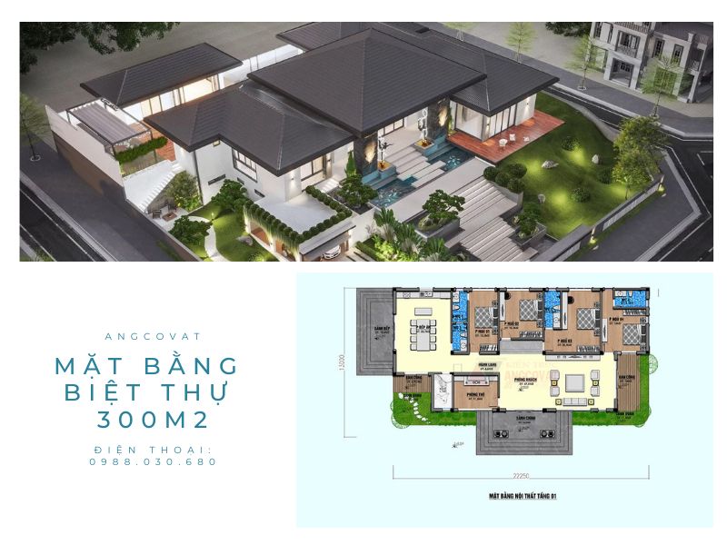 https://angcovat.vn/imagesdata/TIN040725/mat-bang-biet-thu-300m2-16.jpg