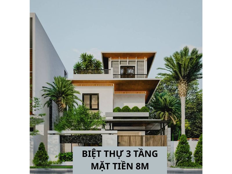 Mẫu biệt thự 3 tầng mặt tiền 8m hài hòa giữa kiến trúc và thiên nhiên