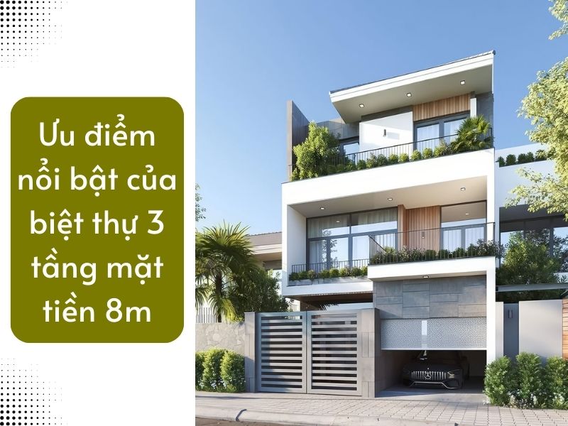 Tạo sao nên chọn thiết kế biệt thự 3 tầng mặt tiền 8m ?
