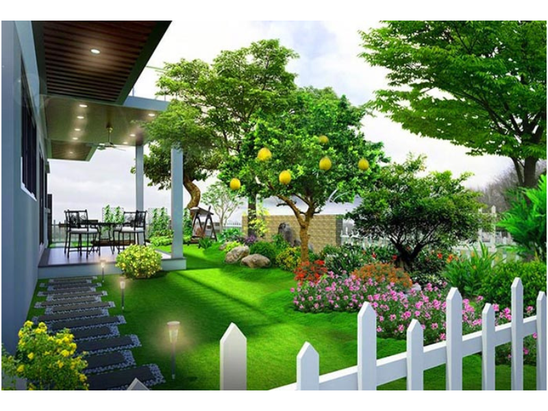 Trồng cây tại không gian sân vườn mẫu thiết kế biệt thự sân vườn 500m2