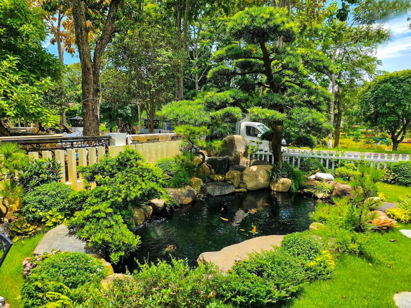 Bể cá koi xinh đẹp và giá trị tại mẫu thiết kế biệt thự sân vườn 500m2