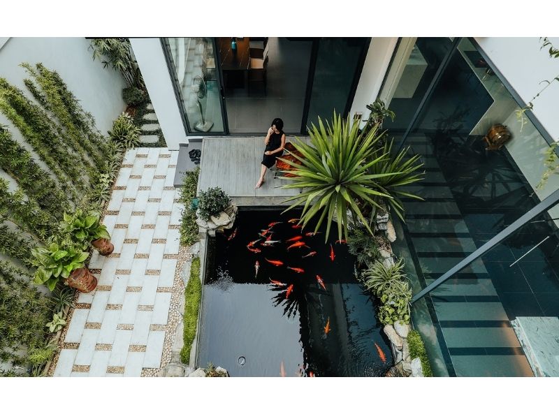 Tiểu cảnh cây xanh được trang trí khoa học, đẹp mắt