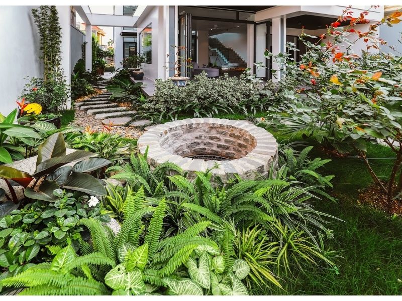 Khuôn viên sân vườn của biệt thự 500m2 mang đến không gian thiên nhiên trong lành, mát mẻ