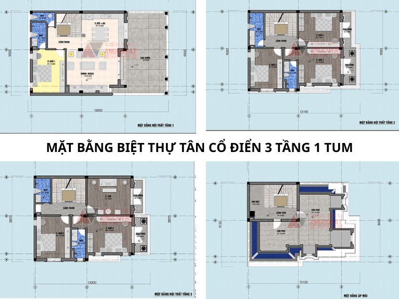 Mặt bằng công năng biệt thự tân cổ điển 3 tầng 1 tum bố trí khoa học, tiện nghi 