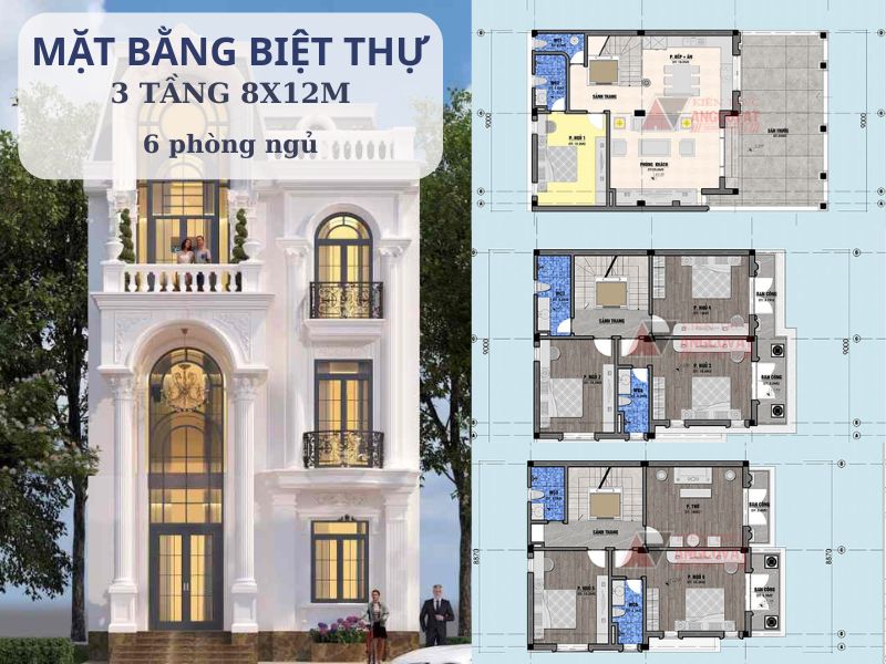 Mặt bằng biệt thự 3 tầng 8x12m 6 phòng ngủ 