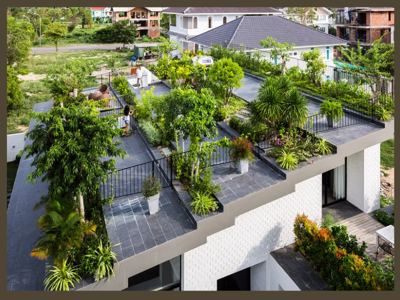 Biệt thự mái bằng được thiết kế trồng cây xanh gần gũi với thiên nhiên