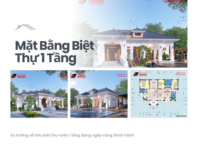 Phối cảnh và mặt bằng biệt thự 1 tầng có hồ bơi