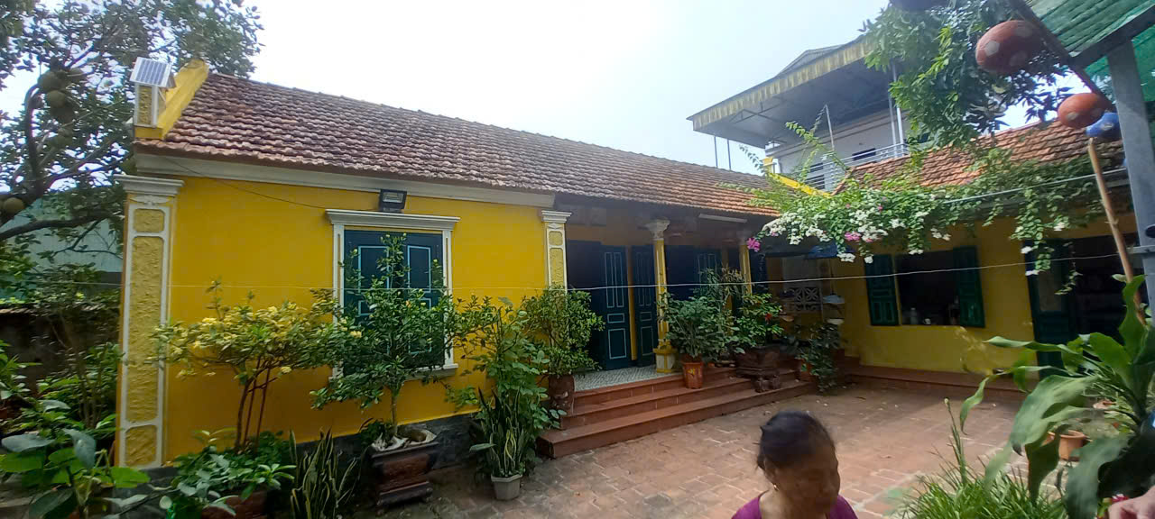 Khảo sát hiện trạng thiết kế nhà lắp ghép 50m2 kết hợp dựng phối cảnh 3D nhà 3 gian cũ và thiết kế cảnh quan sân vườn 394m2 tại Hà Nội