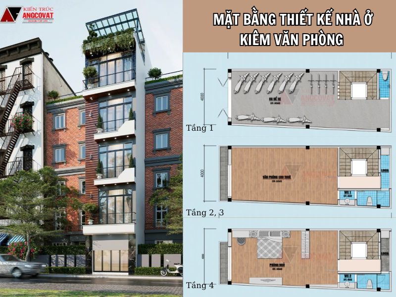 Tư vấn các bố trí mặt bằng nhà ở cho thuê văn phòng 