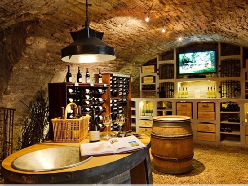 mẫu hầm rượu lâu đài cổ điển