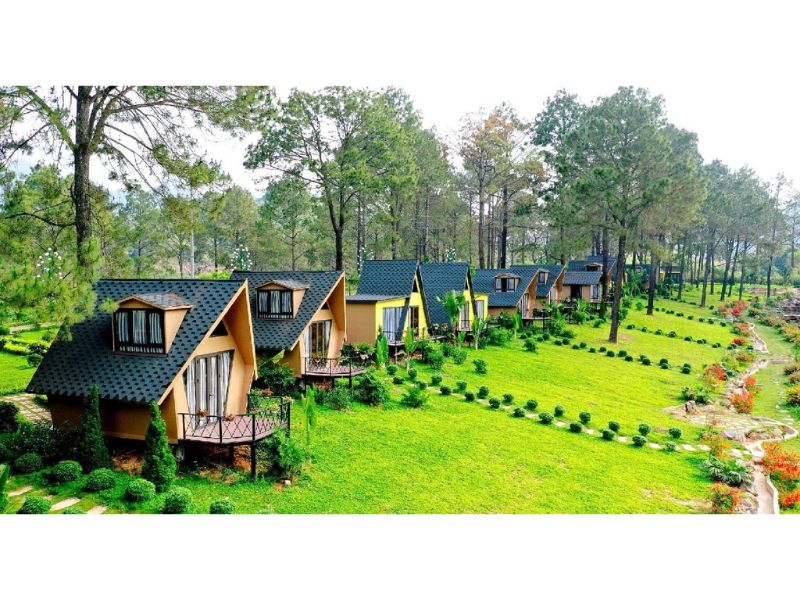 Homestay nhà vườn nhỏ xinh trên thảm cỏ xanh mướt 