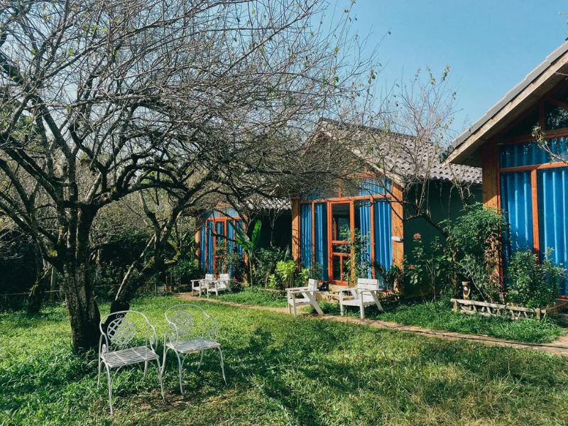 Khung cảnh nên thơ tại mẫu homestay nhà vườn hơi hướng hoài cổ vintage 