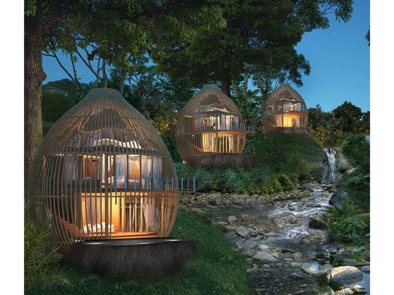 Thiết kế homestay treo trên cây cực chill 