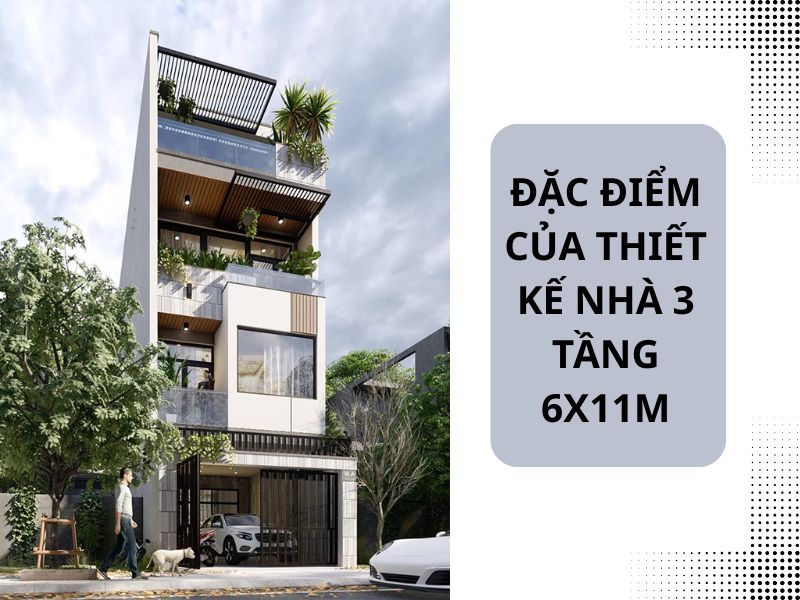 Liệt kê những đặc điểm của thiết kế nhà 3 tầng ngang 6m dài 11m