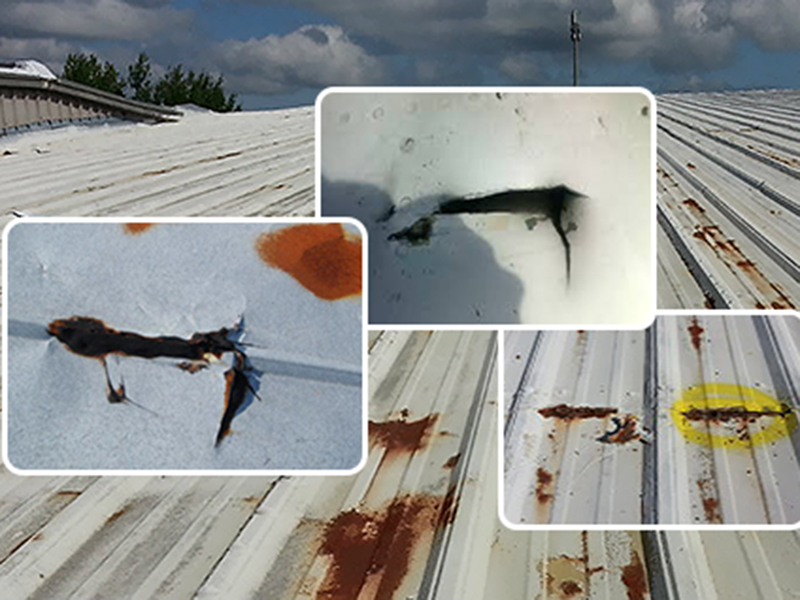 cần chống dột mái tôn ở vị trí bề mặt bị hư tổn