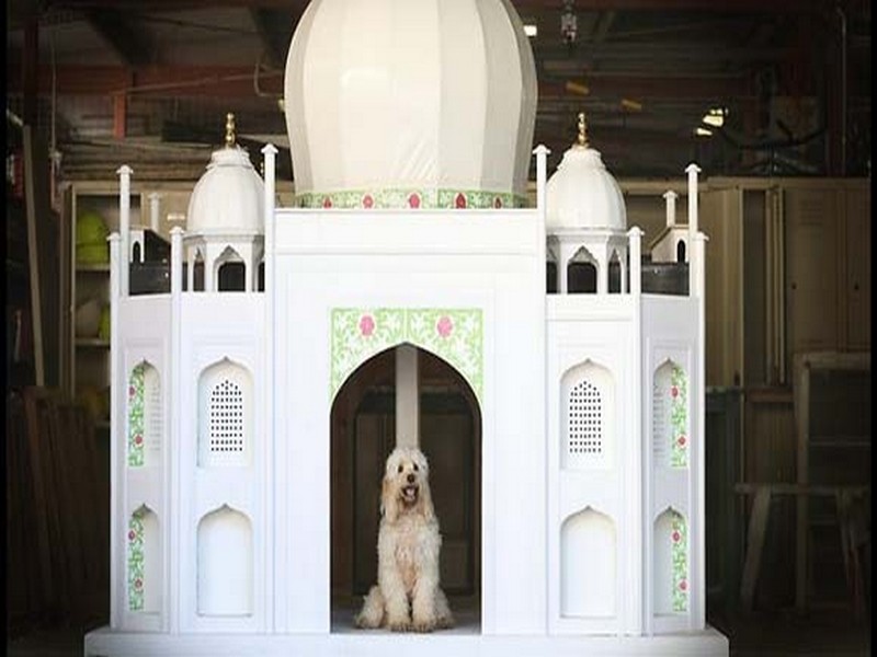 mẫu thiết kế biệt thự nhỏ đẹp cho cún cưng